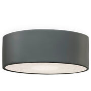 Outdoor Ceiling Lights