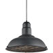 Clarkson Series 1 Light 16 inch Matte Black Pendant Ceiling Light
