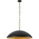 Alora Mood Grant 1 Light 27.63 inch Matte Black Pendant Ceiling Light