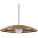 Barbary 1 Light 42 inch Black Outdoor Pendant