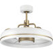 Taylor 24 inch White/Satin Brass with Clear Acrylic Blades Ceiling Fan