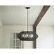 Lisa McDennon Open Air Luca LED 28 inch Black Outdoor Chandelier in 12V LED