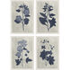 Pressed Flower Blue and White Framed Art, Propac