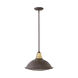 Barstow 1 Light 16.25 inch Buckeye Bronze Pendant Ceiling Light
