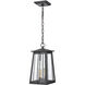 Kirkdale 2 Light 9 inch Matte Black with Natural Brass Outdoor Pendant
