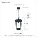 Darius 1 Light 11 inch Earth Black Outdoor Hanging Lantern