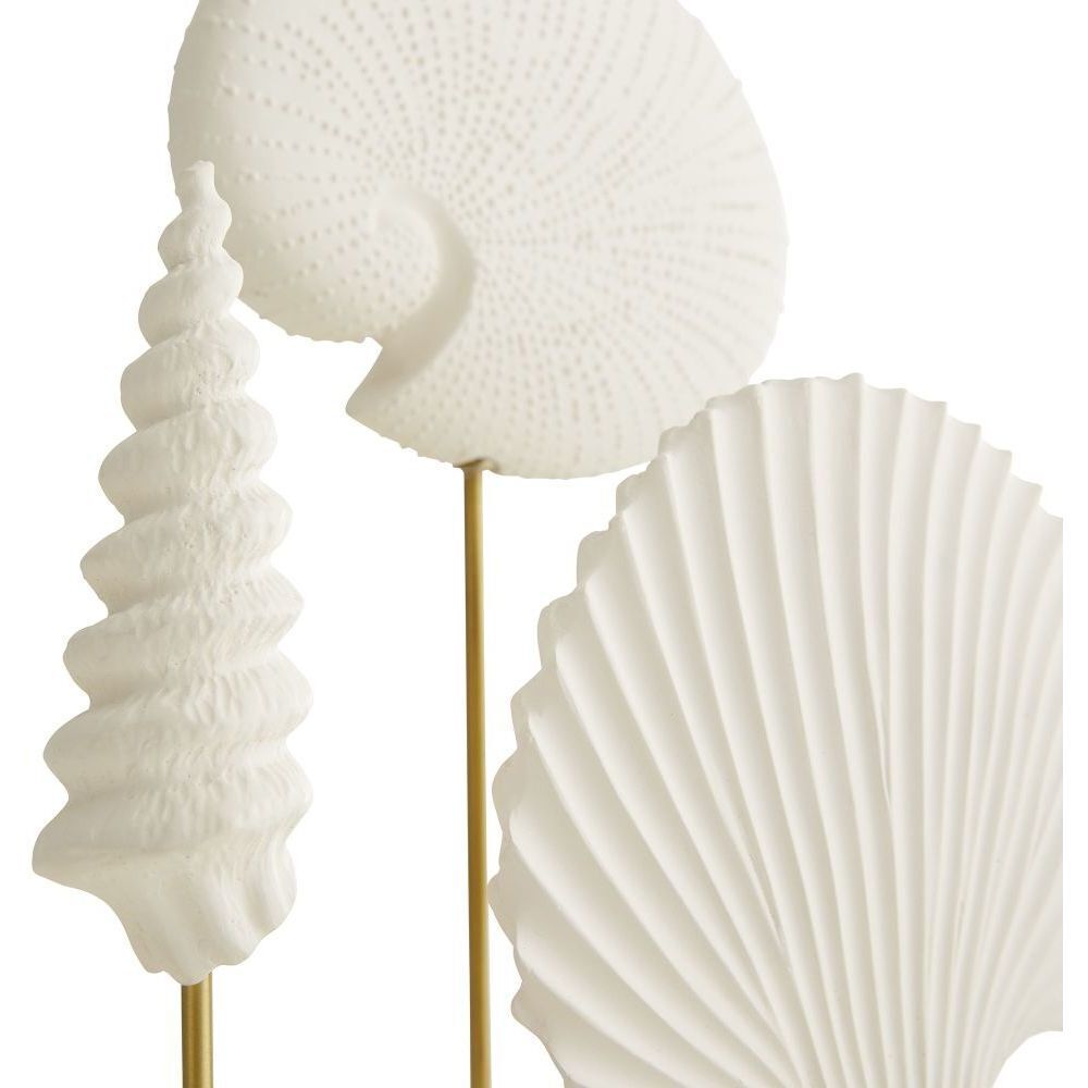 Shell 14 X 7 inch Sculptures, Set of 3