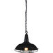 Morgan 1 Light 11 inch Black Down Mini Pendant Ceiling Light