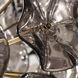 Esme 9 Light 22.5 inch Aged Brass Chandelier Ceiling Light in Floral Glass Petals Smoked