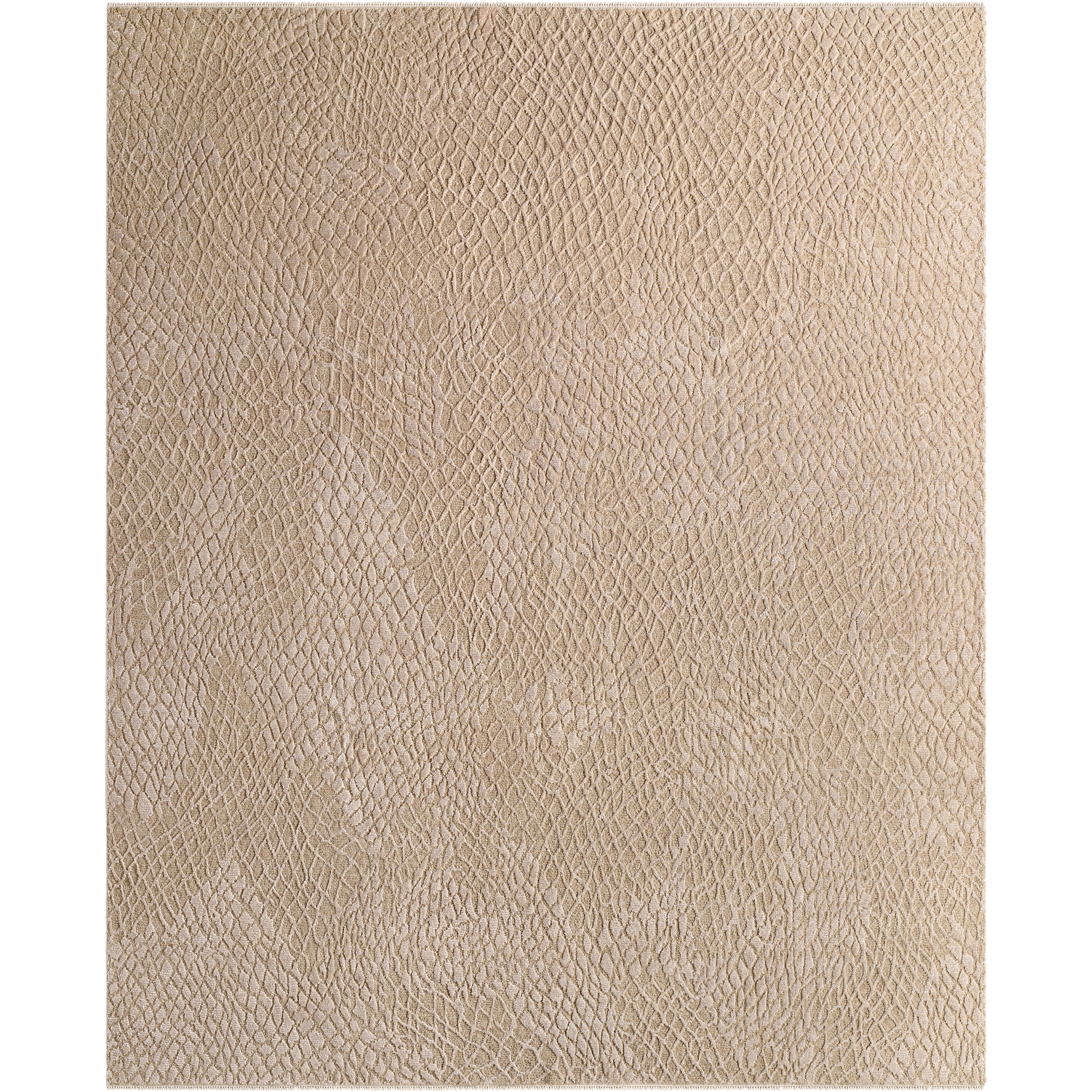 Reyyan 168 X 120 inch Rug