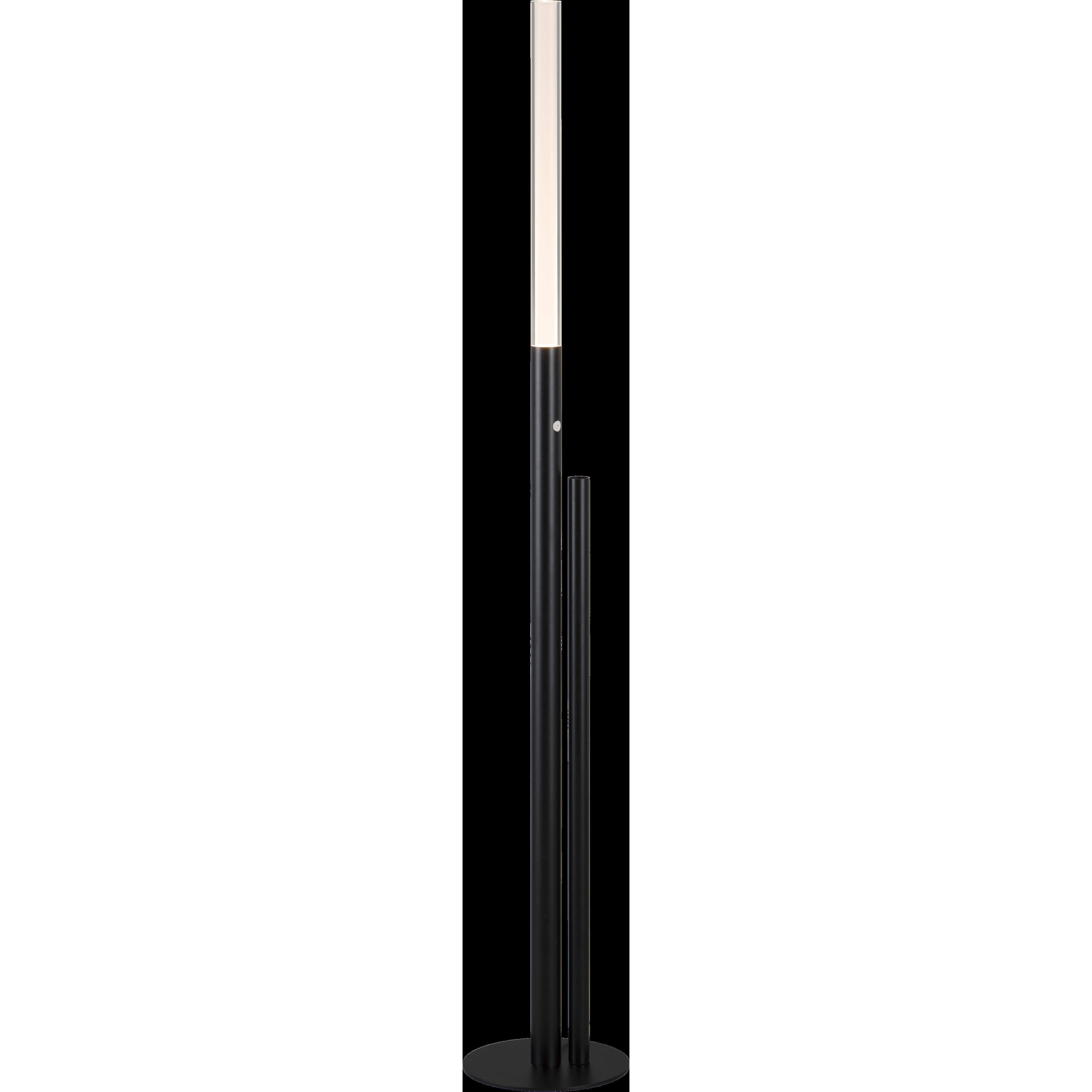 Leona 49.4 inch 9.00 watt Matte Black Floor Lamp Portable Light