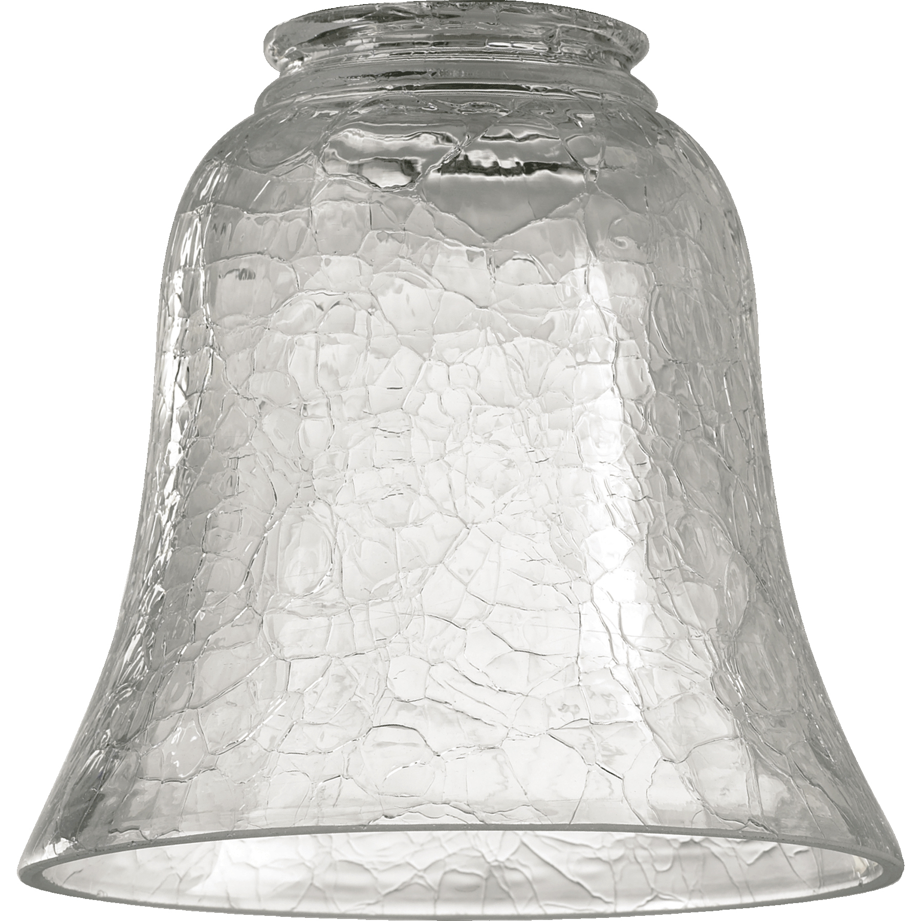 Fort Worth Clear 5 inch Glass Shade