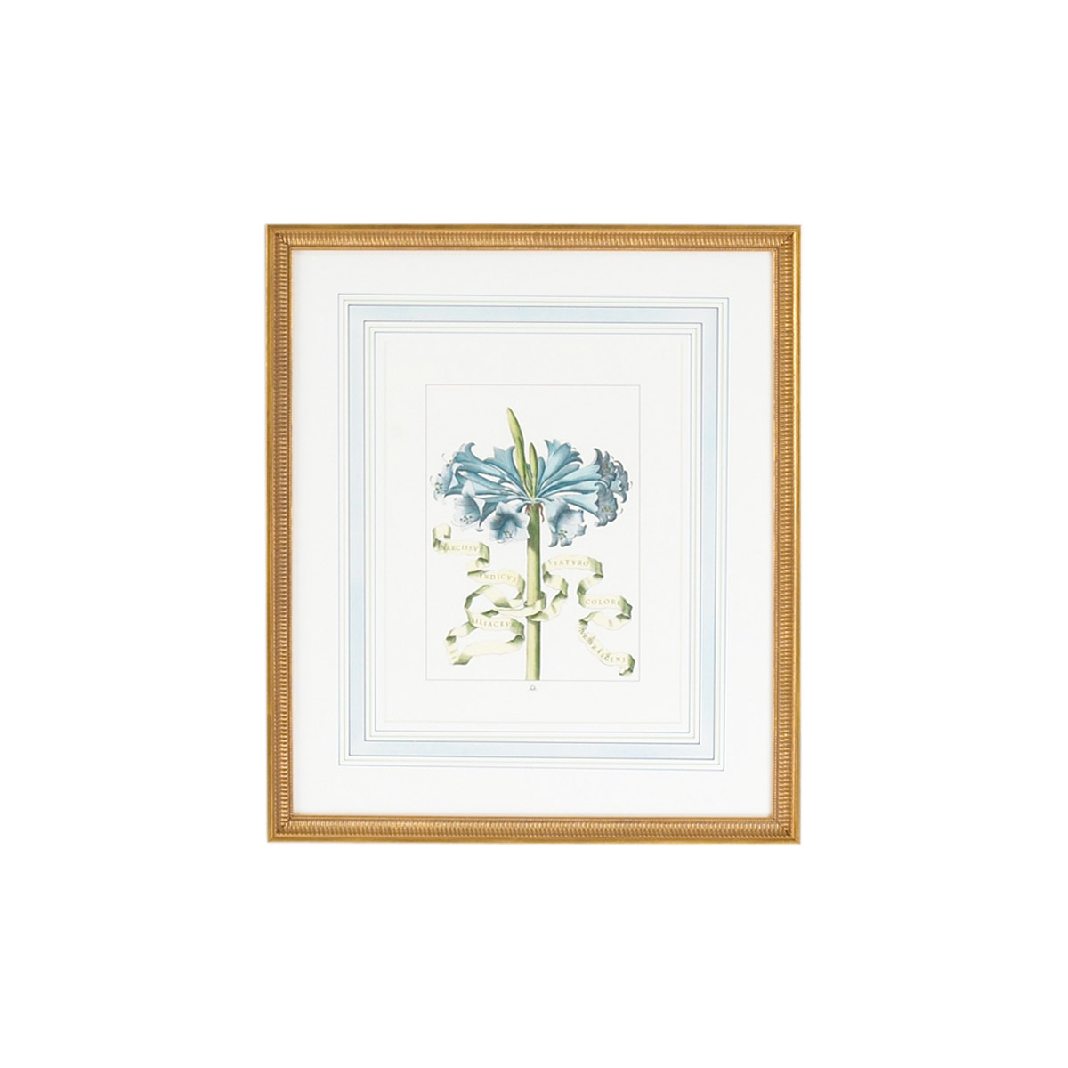 Chelsea House Gold Frame with French Mat Hand Colored Engraving