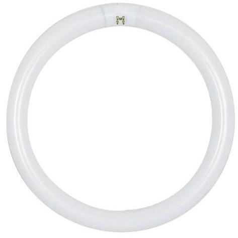 Lumos Fluorescent 32 watt 6500K Light Bulb, Circline - T5-T6-T9