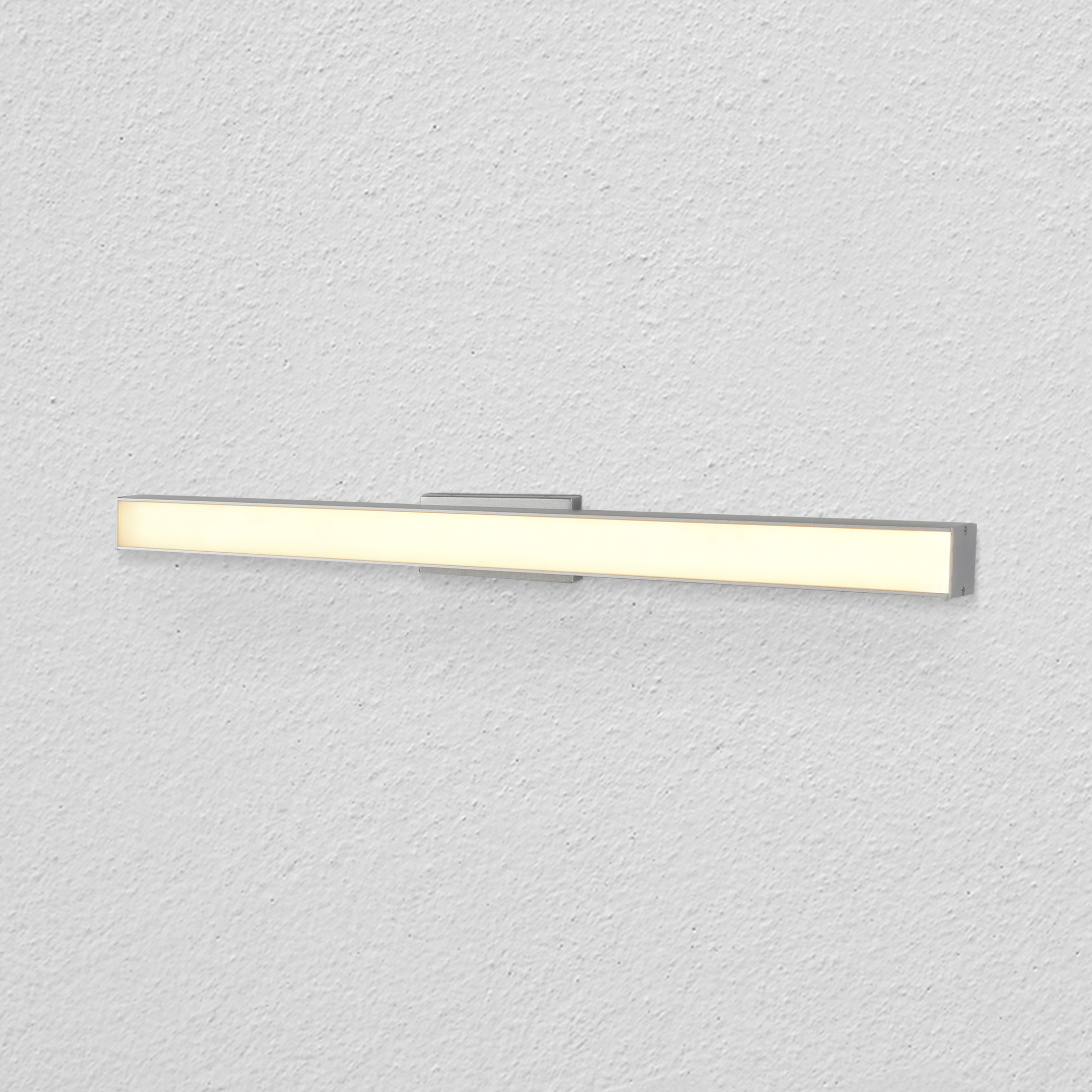 Procyon 24 inch Silver Bathroom Vanity Light Wall Light