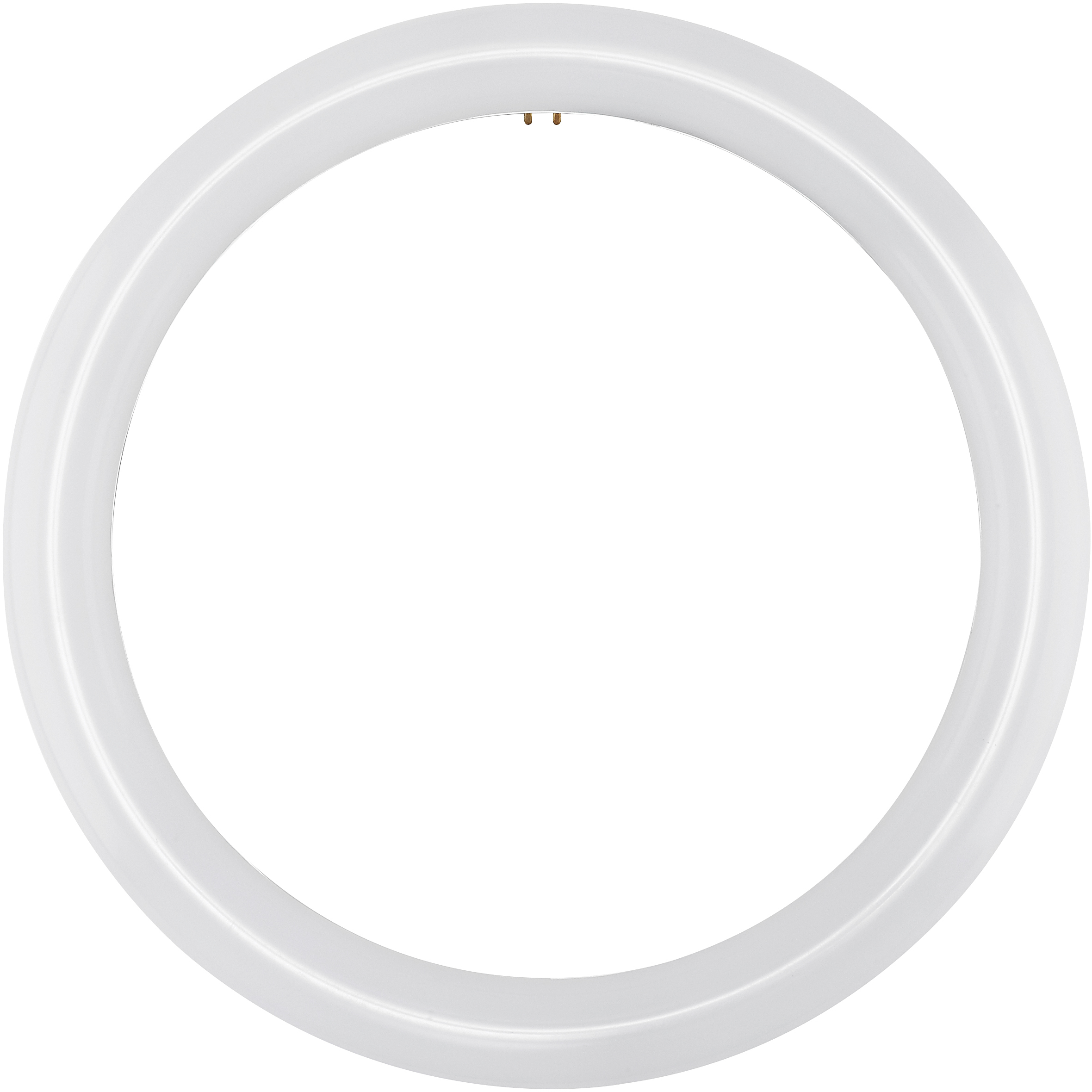 Circline LED T9 4-Pin 16 watt 120V 4000K Light Bulb