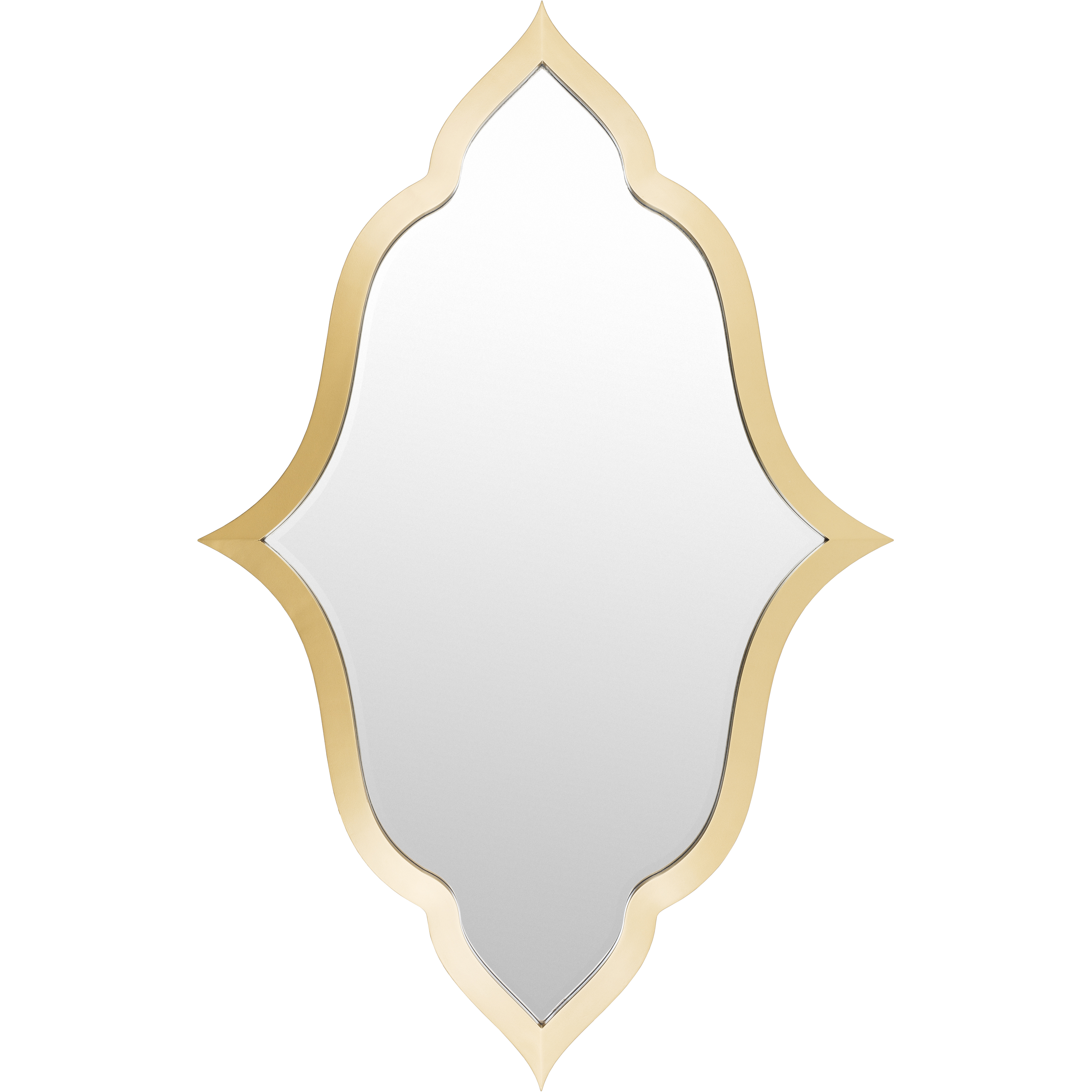 Anais 46.5 X 30 inch Light Grey Mirror, Large