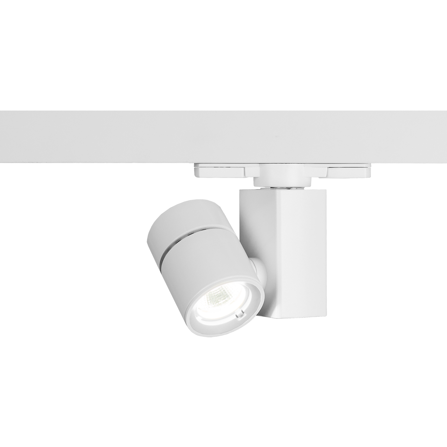 Exterminator II 1 Light 120 White Track Head Ceiling Light in Flood, 90, 2700K