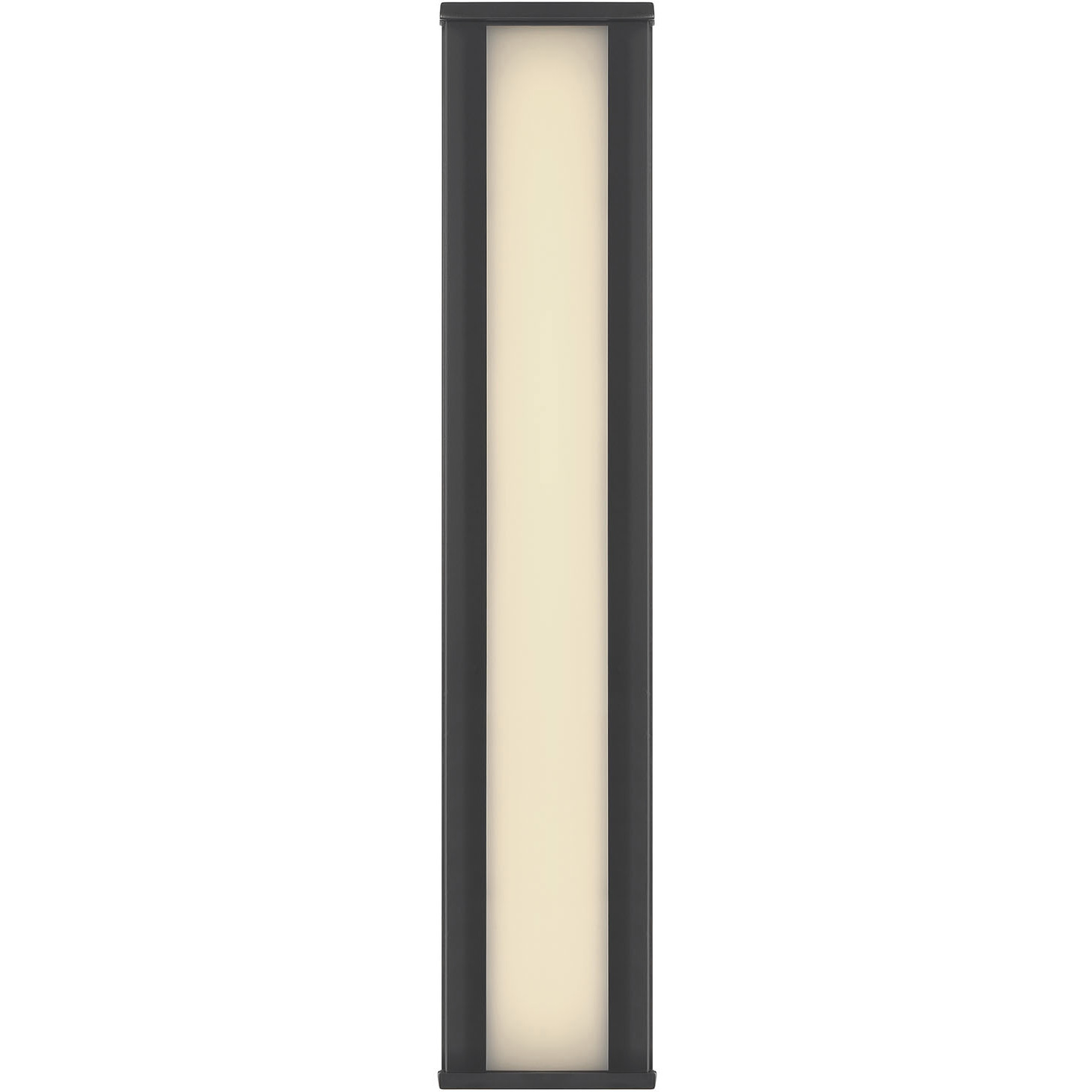Dulton LED 24.4 inch Matte Black Outdoor Wall Sconce