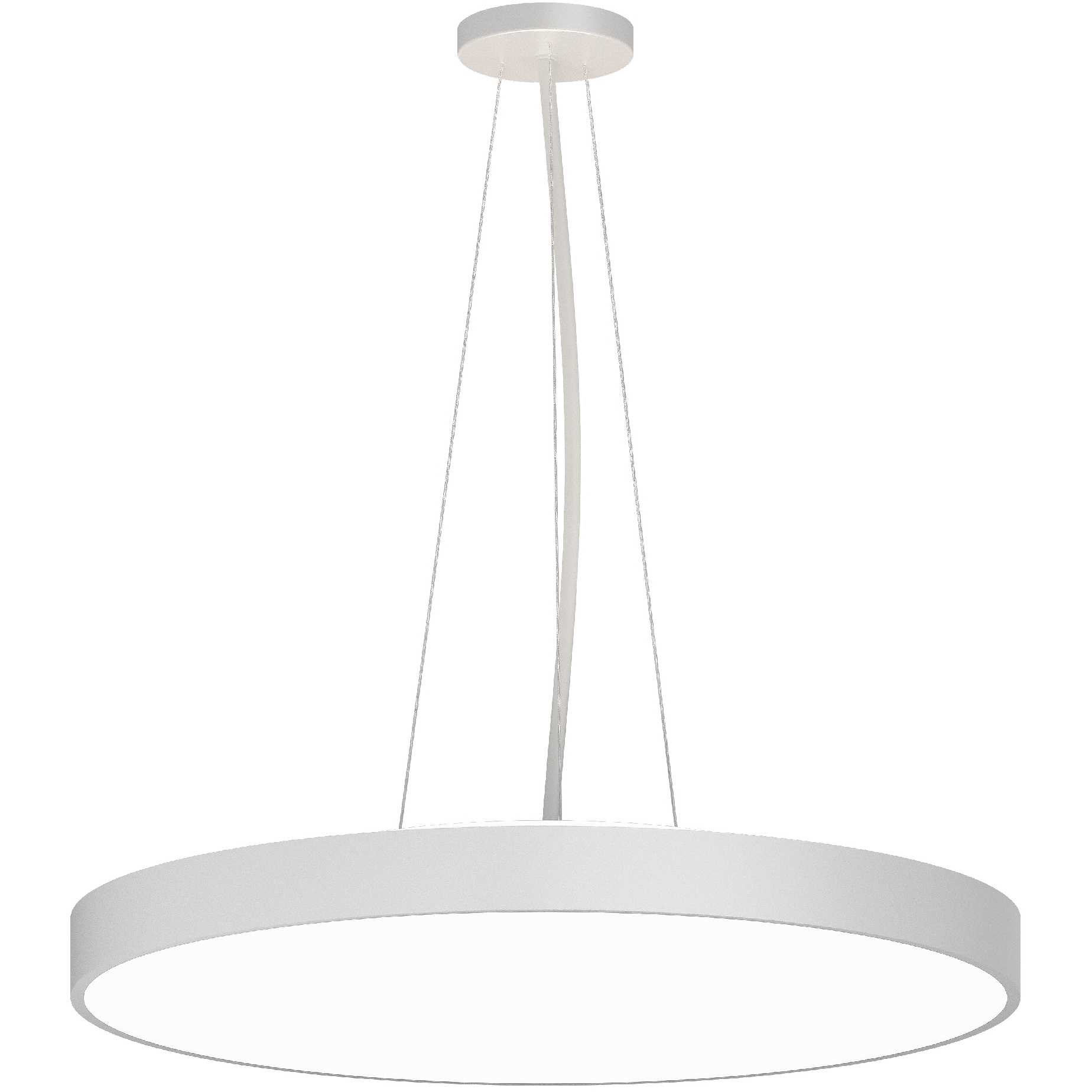 Rhythm LED 24 inch White Pendant Ceiling Light in Direct/Indirect