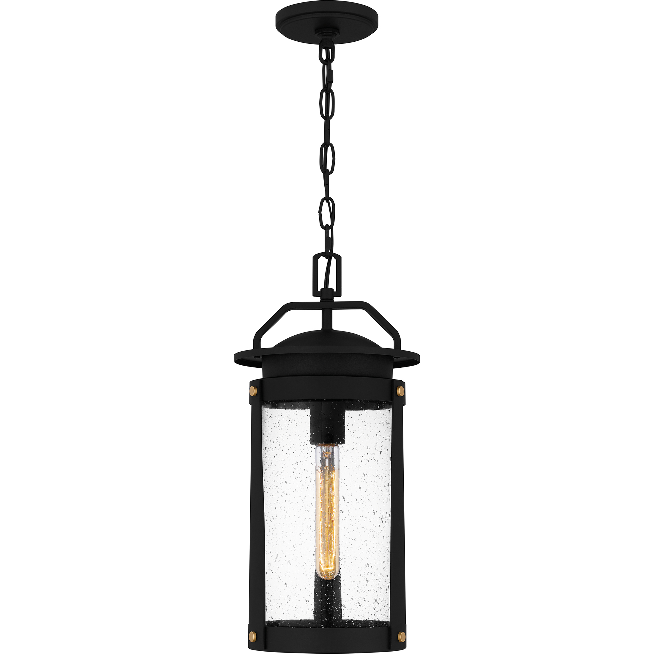 Clifton 1 Light 8.75 inch Earth Black Outdoor Hanging Lantern