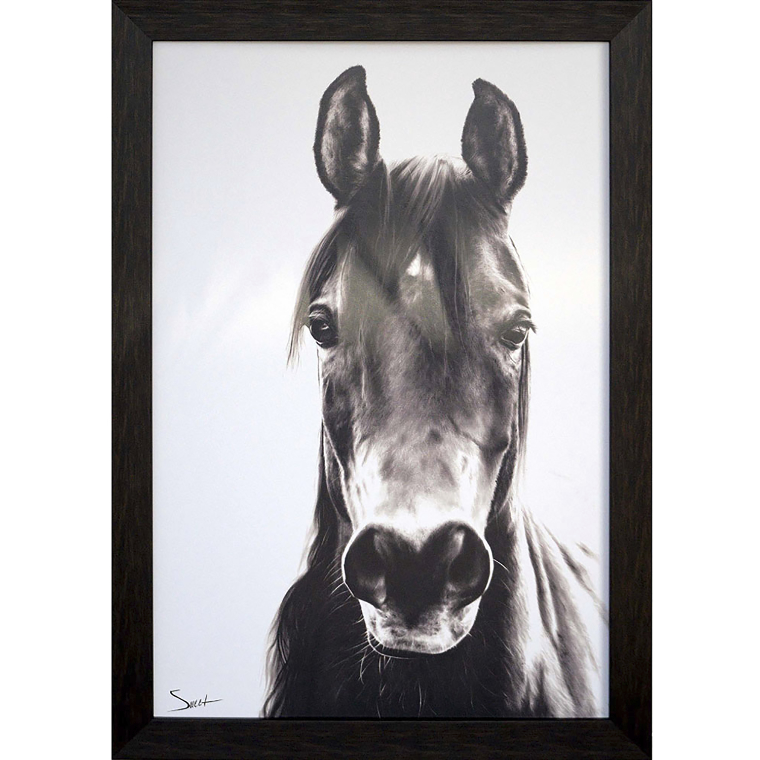 Animals White and Black and Neutral Framed Art