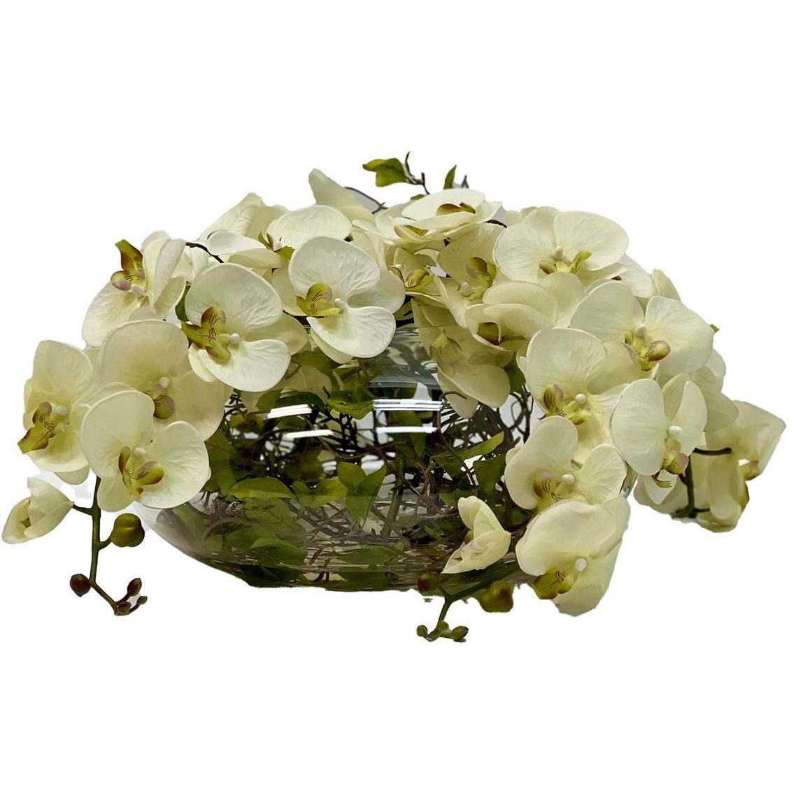 Enchanted Orchids Botanical/Floral
