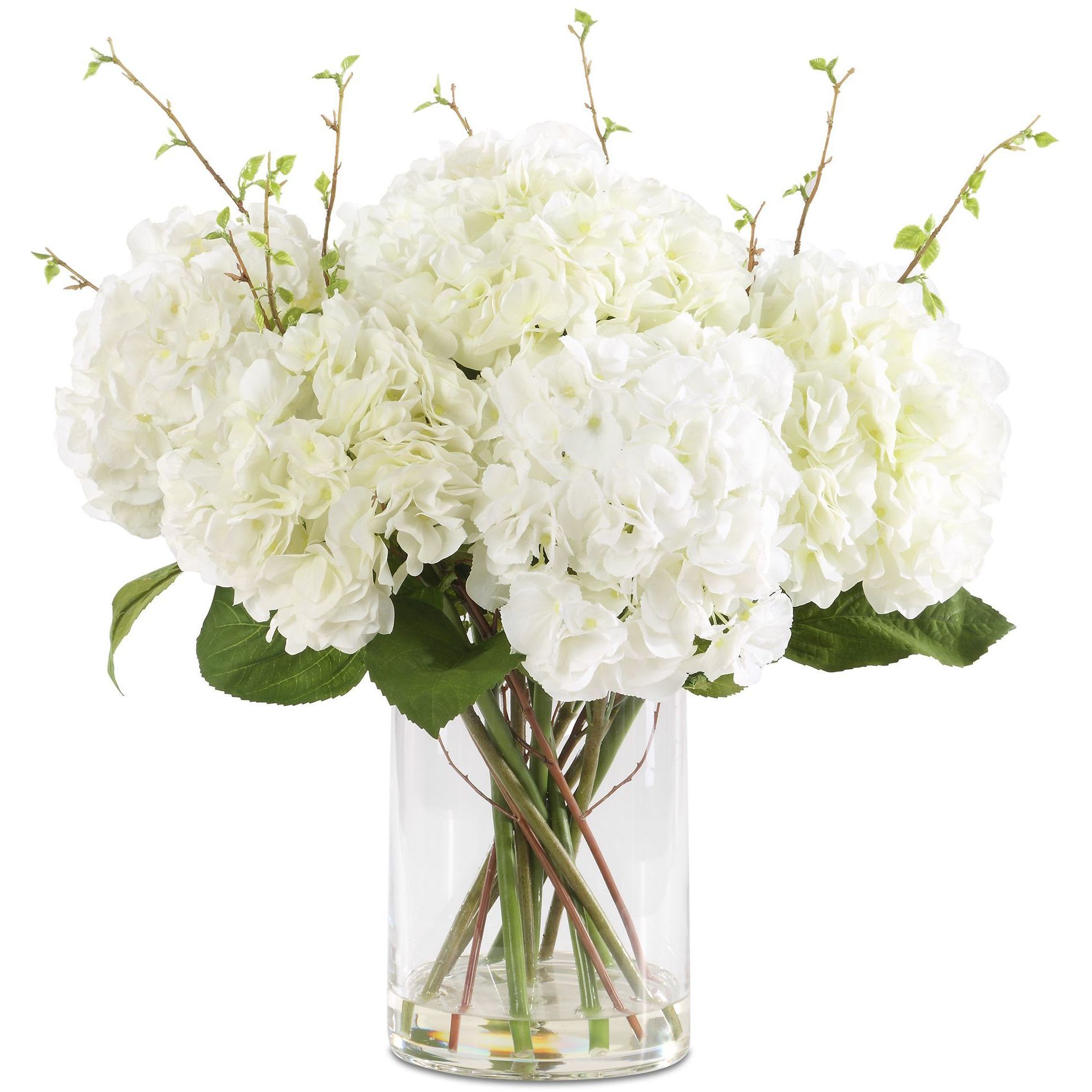 Anastasia Hydrangea Cream Hydrangeas and Natural Foliage Centerpiece