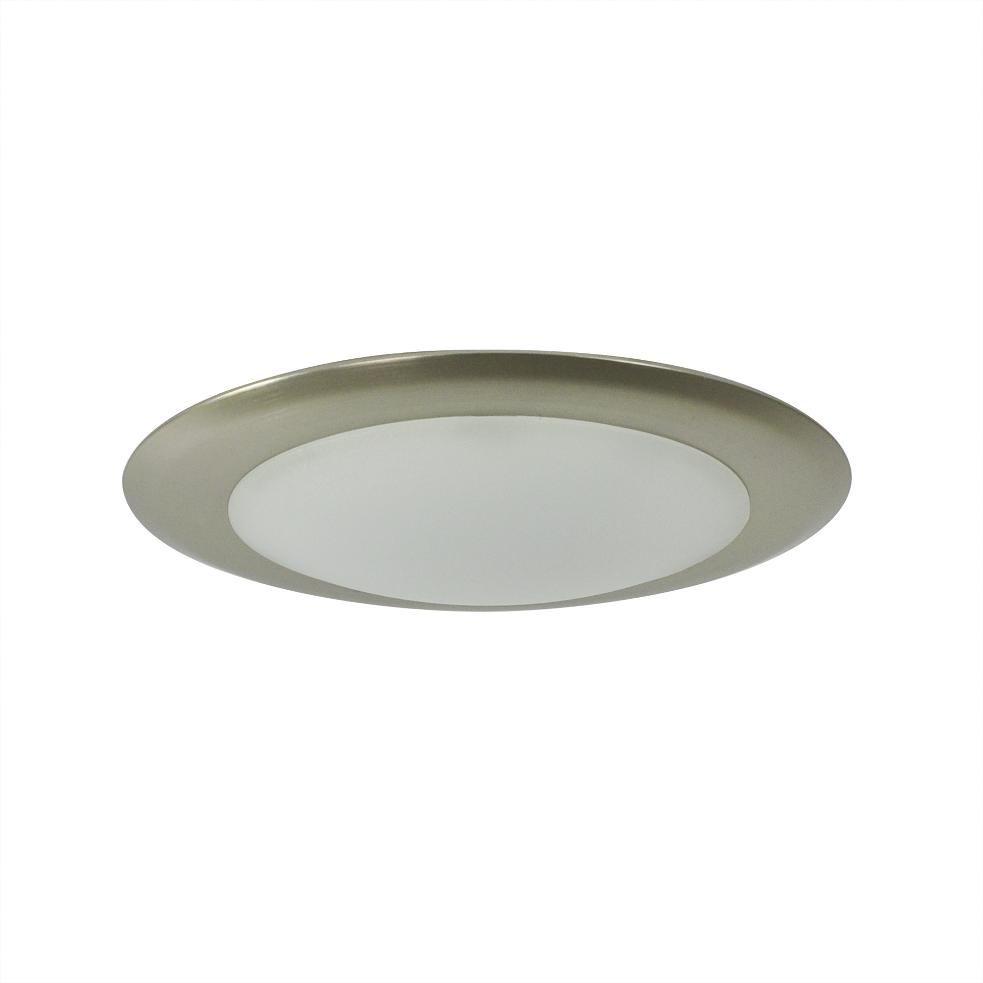 Opal Natural Metal Surface Mounted Light in 2700K