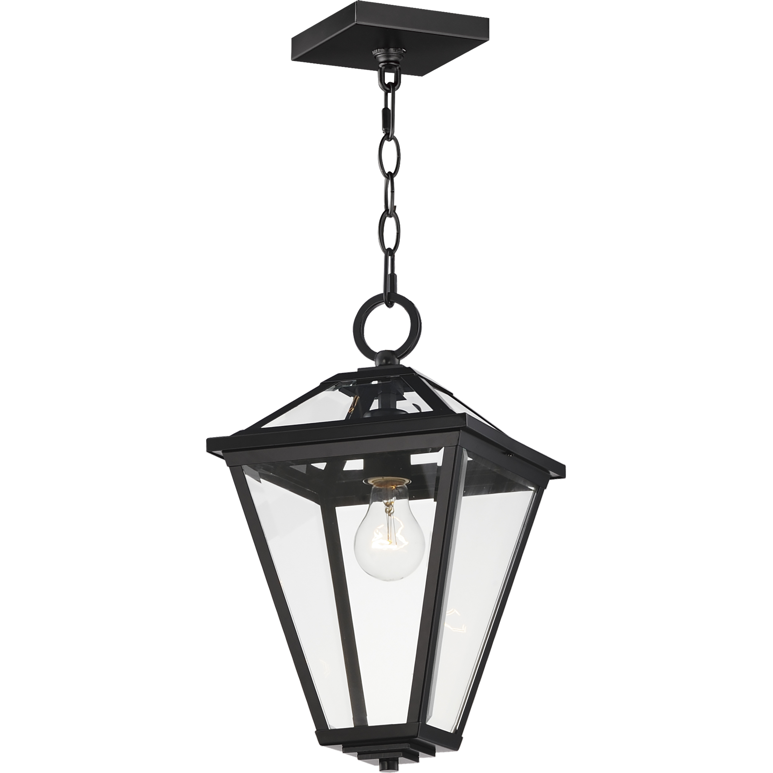 Prism 1 Light 9 inch Black Outdoor Pendant