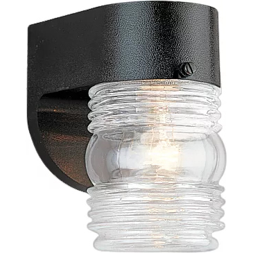 Outdoor Wall 1 Light 6 inch Black Outdoor Wall Lantern, Large