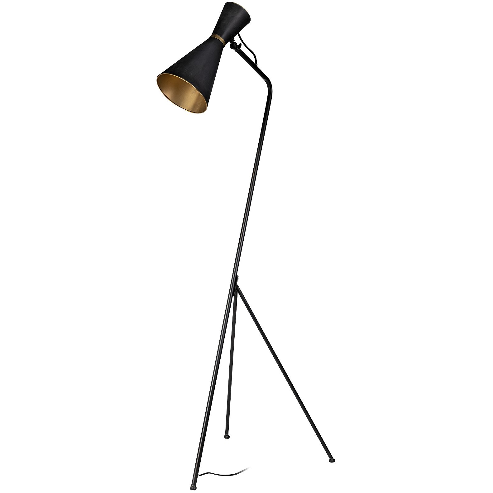 Eris 58.27 inch Black Floor Lamp Portable Light
