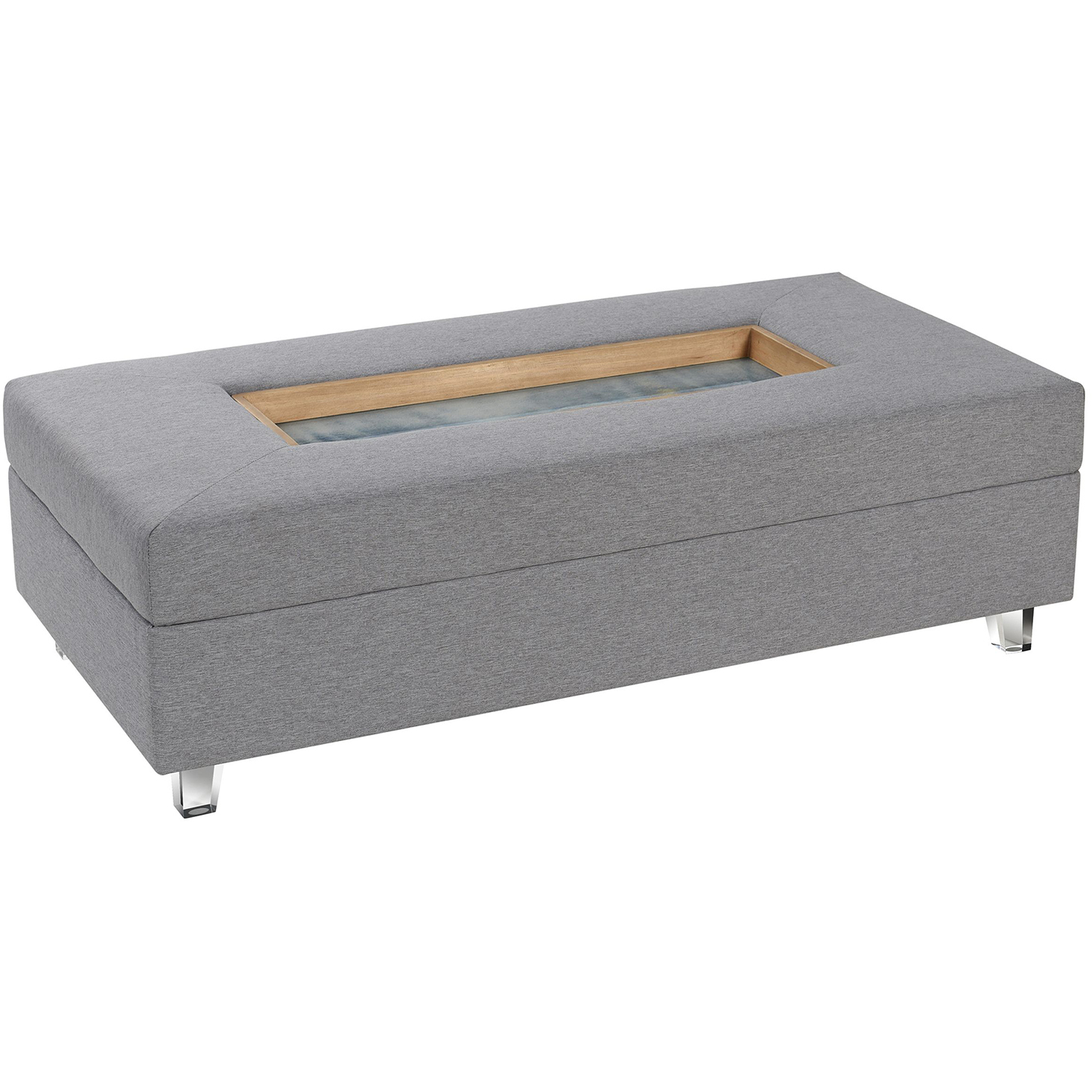Austin Allen James 49.6 X 25.2 inch Gray and Clear Coffee Table