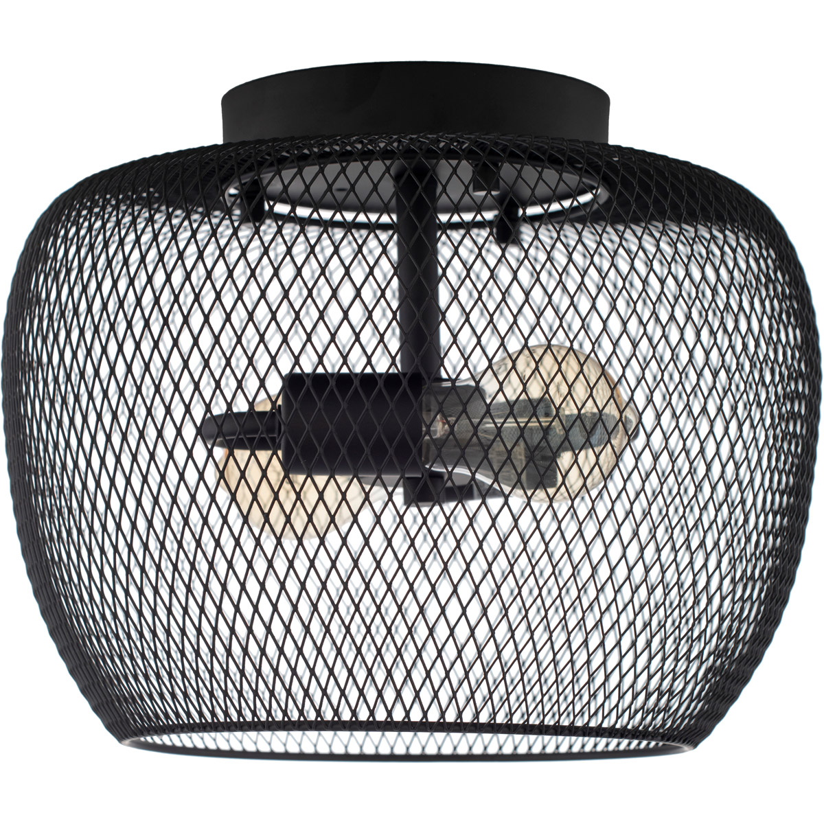 Abel 2 Light 13 inch Pendant Ceiling Light