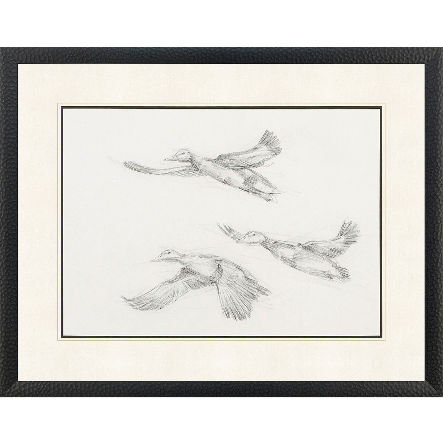 Mallard Duck Sketch Black and Beige and Gray Framed Art