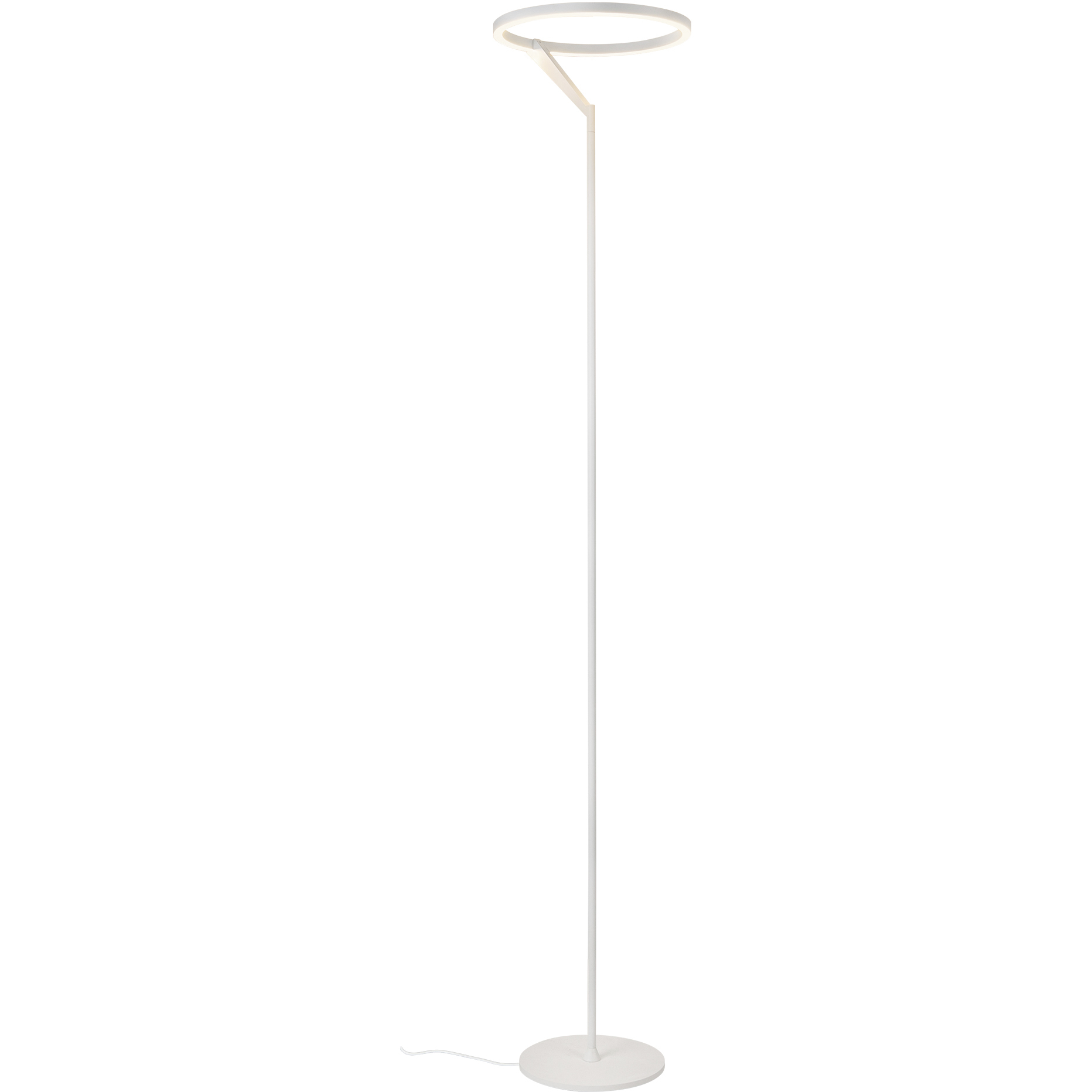 Roda 66.25 inch 25 watt White Floor Lamp Portable Light