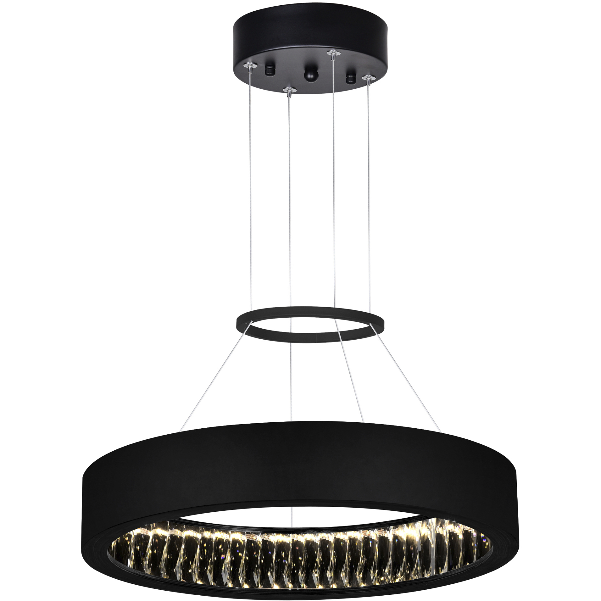 Rosalina LED 20 inch Matte Black Down Chandelier Ceiling Light