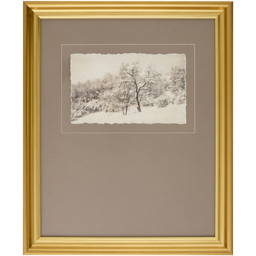 Coconino Burnished Brass and Hand Finished Framed Art