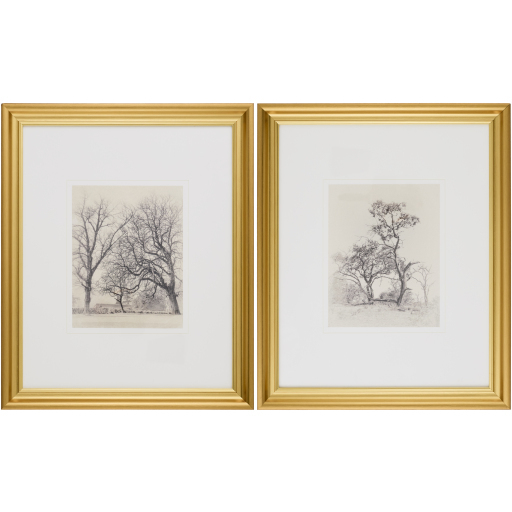 Coconino Burnished Brass and Hand Finished Framed Art