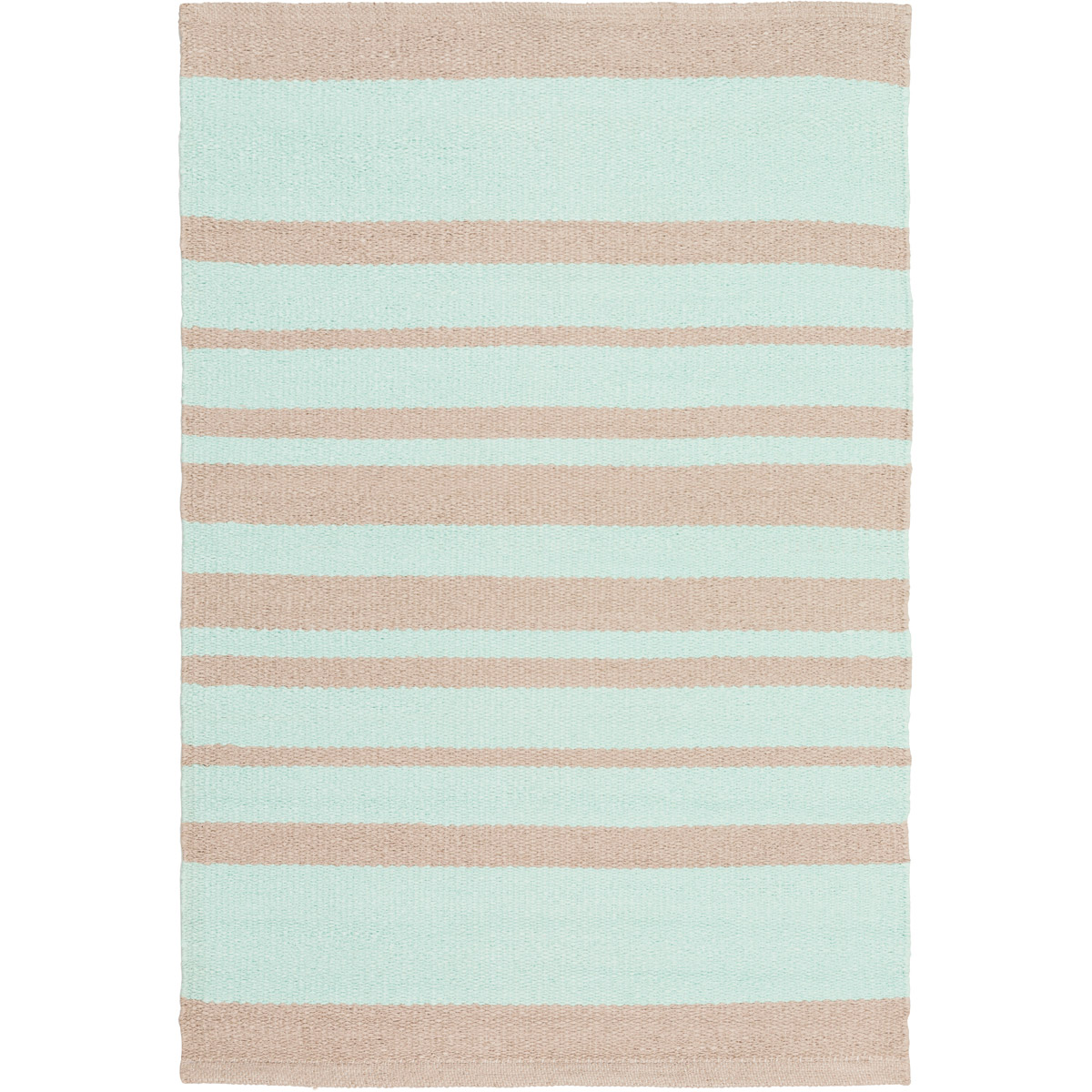Picnic 36 X 24 inch Mint, Taupe Rug