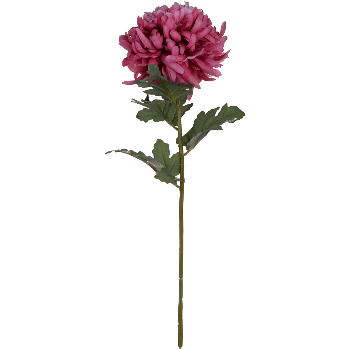 Chrysanthemum Fuchsia Floral D&eacute;cor