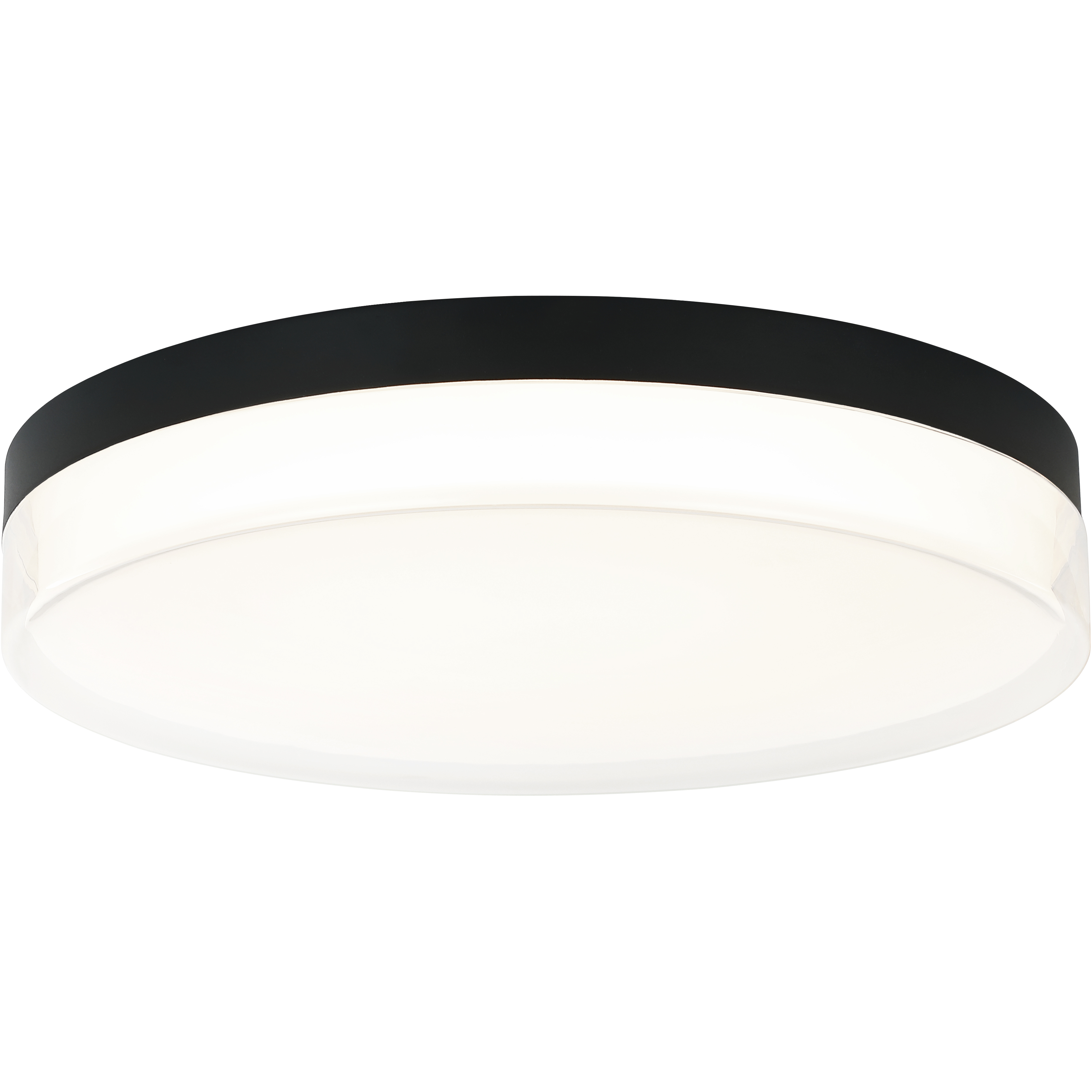 Felicity LED 15 inch Matte Black Ceiling Mount Ceiling Light