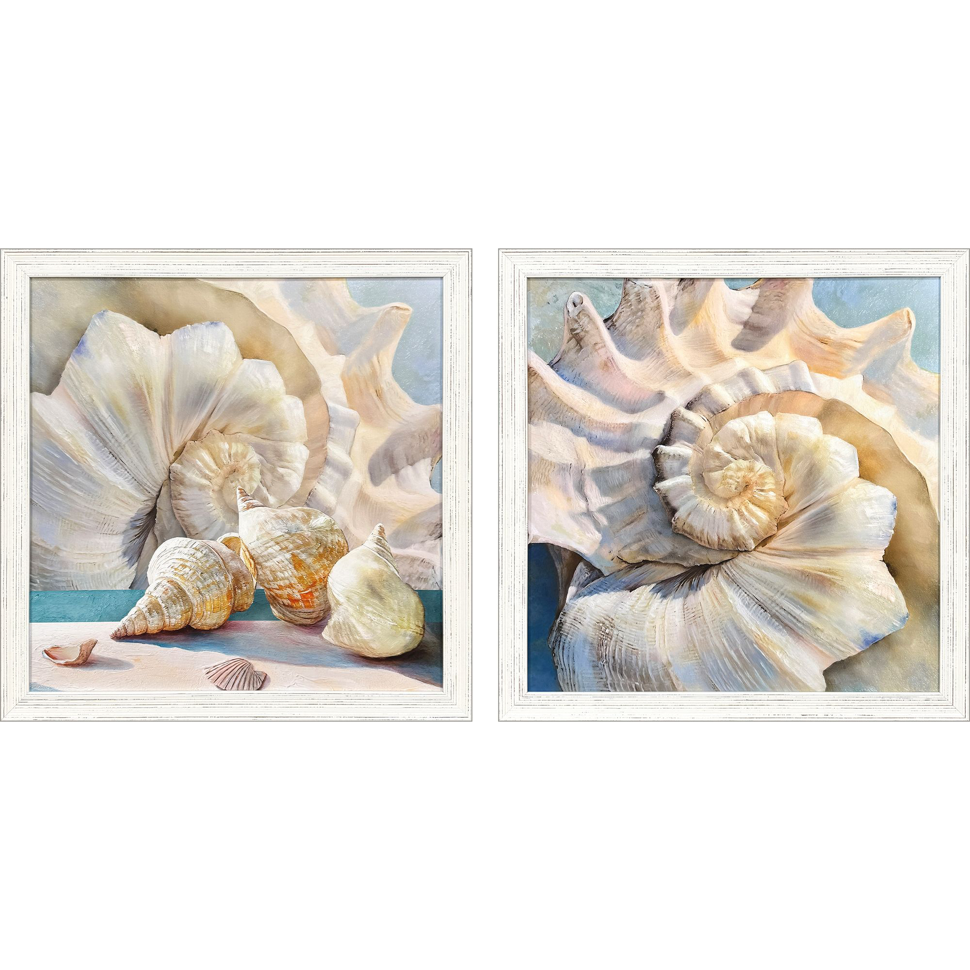 Shells Collection White and Beige and Turquoise Framed Art
