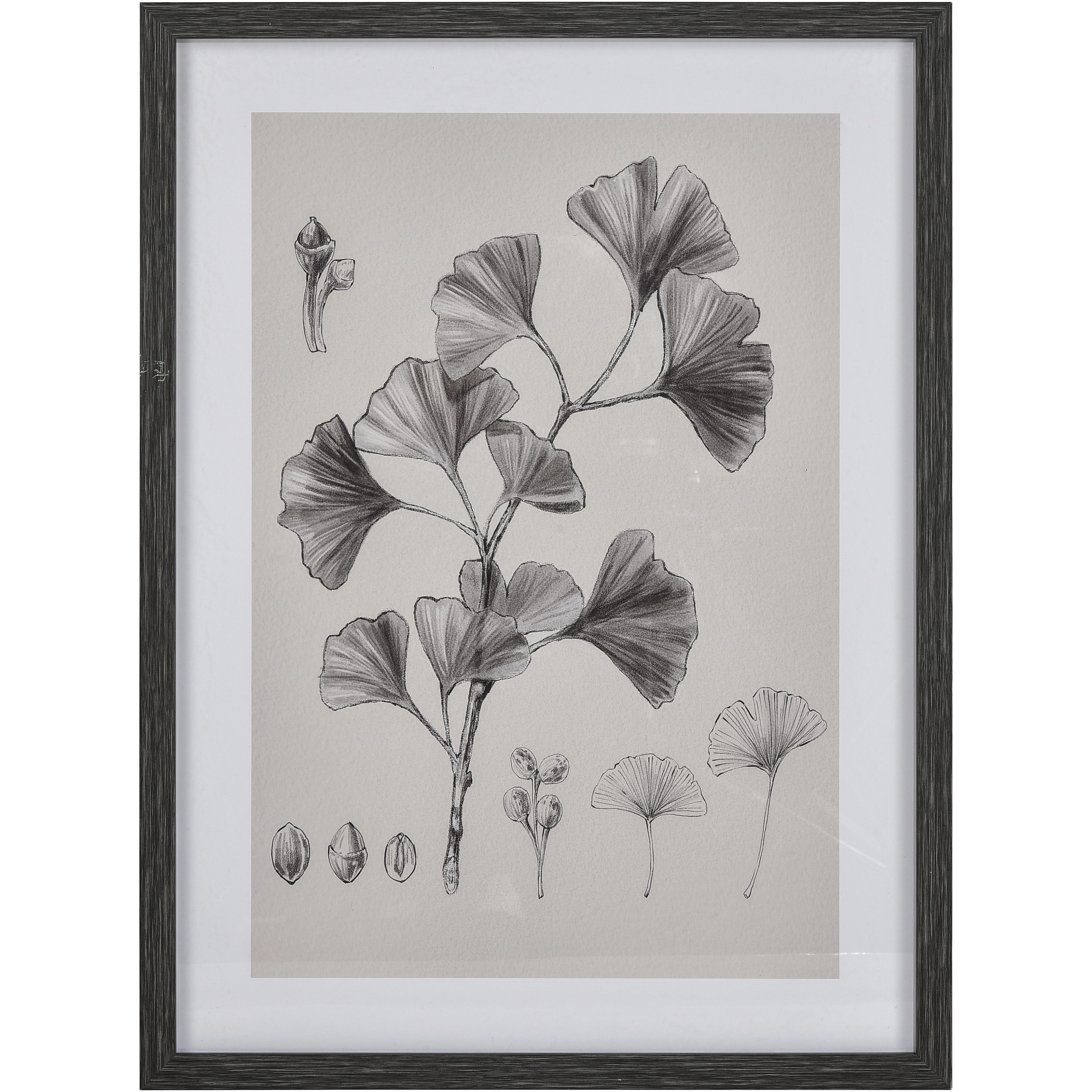 Ginkgo Botanic Ivory with Black and Clear Framed Wall Art