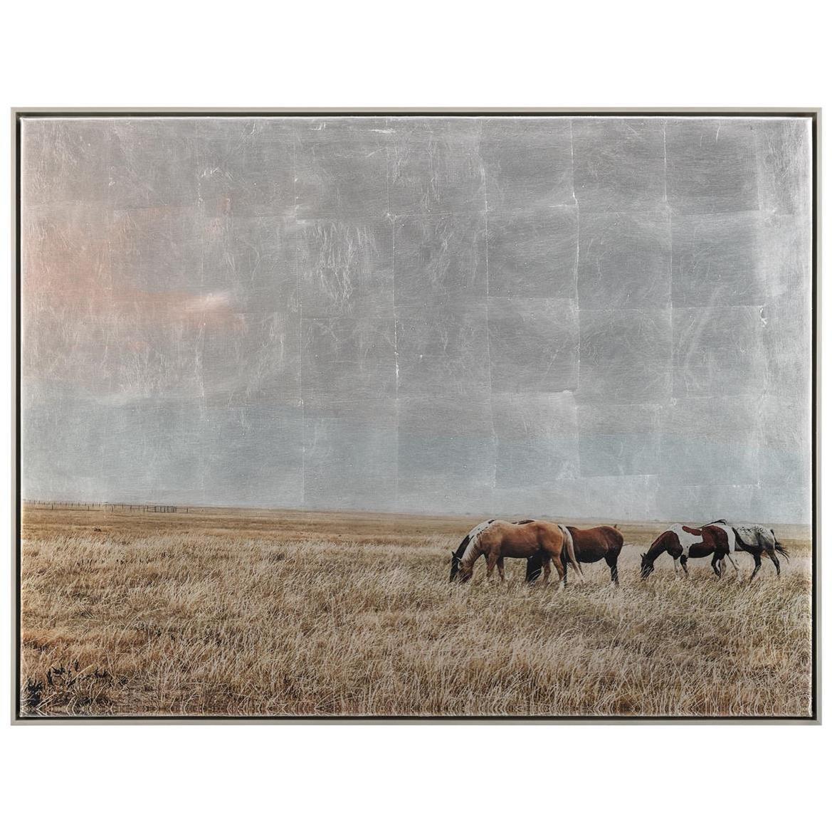 Freedom on the Range Wall Art