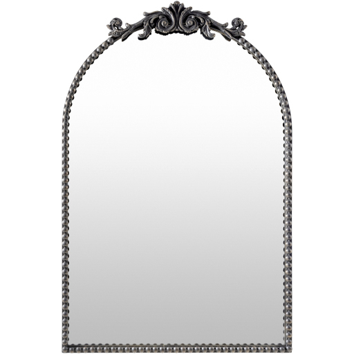 Aarlen 36 X 23.63 inch Antiqued Wall Mirror
