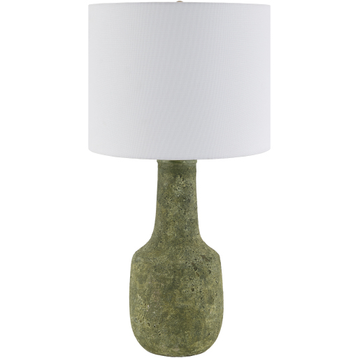 Beraliya 28 inch 100 watt Hand Painted and Plated Accent Table Lamp Portable Light