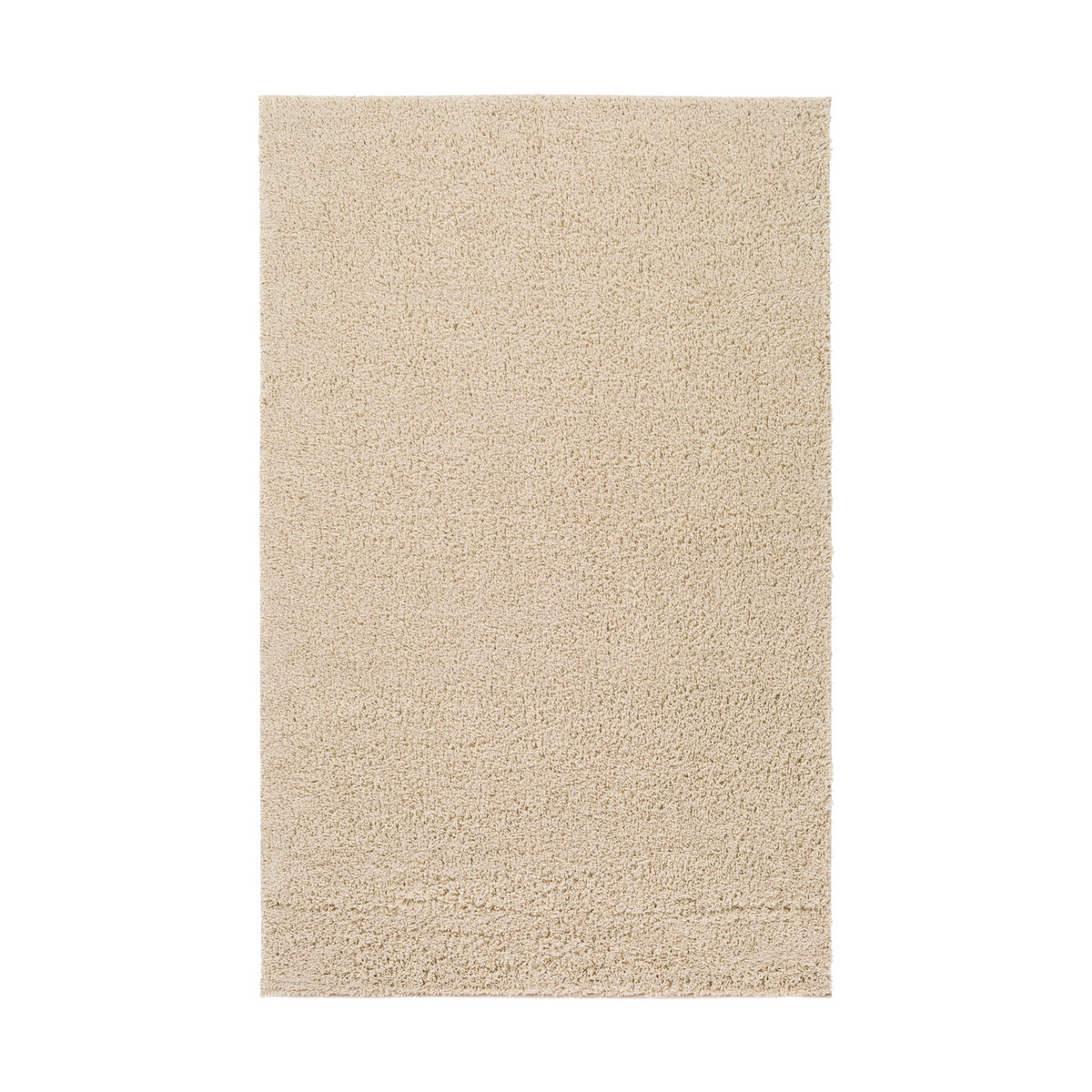 Arlie 72 X 48 inch Neutral Area Rug, Polypropylene