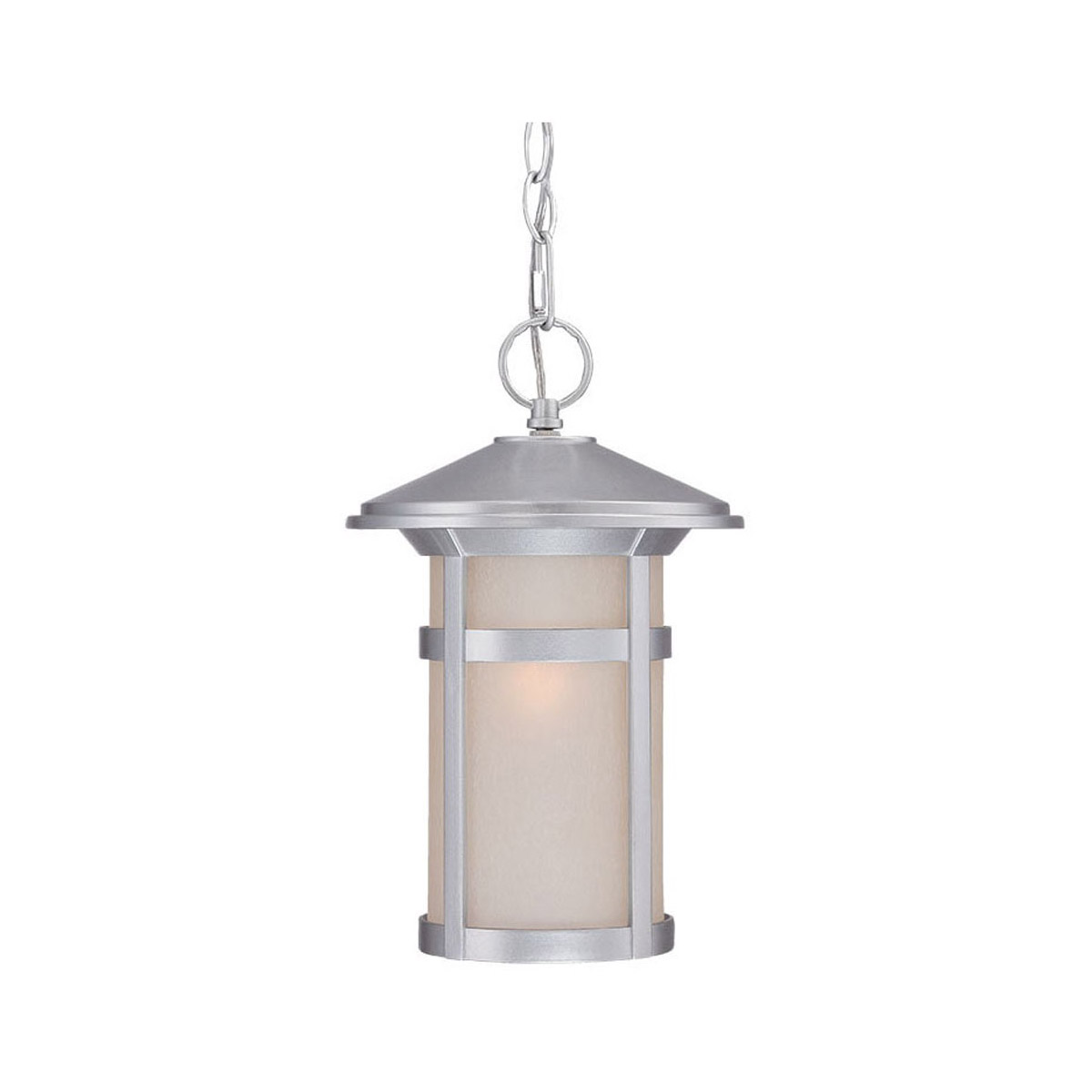 Phoenix 1 Light 8 inch Brushed Silver Exterior Hanging Lantern