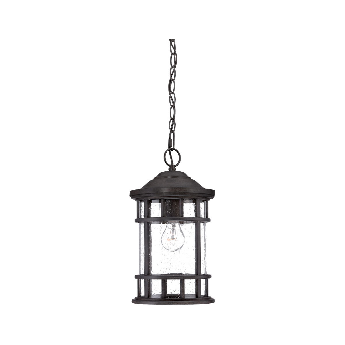 Vista II 1 Light 8.75 inch Black Coral Exterior Hanging Lantern